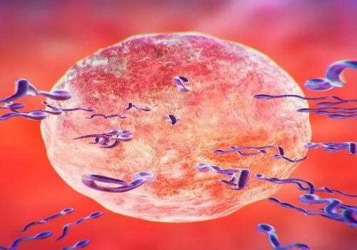 北京三代试管助孕中心：试管移植后无黄体的3个原因