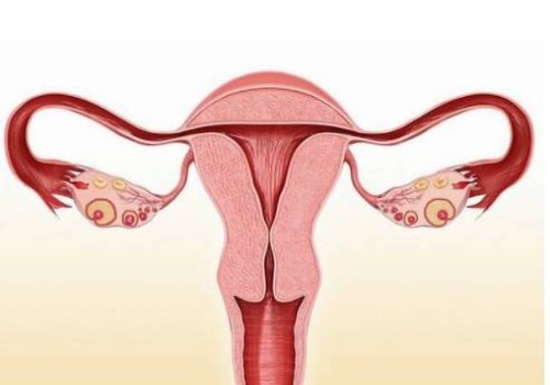 北京助孕公司：17周孕妇标准的肚子图：孕妇腹部多大，关于妊娠妇女的重要变化