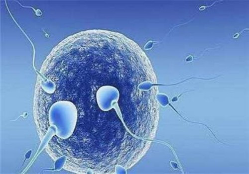北京助孕机构：试管并非所有女性都需要做宫腔镜，移植前出现异常更需要做