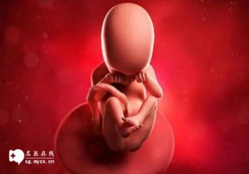 北京供精试管：孕前基因检测后悔了,正规医院需了解清楚
