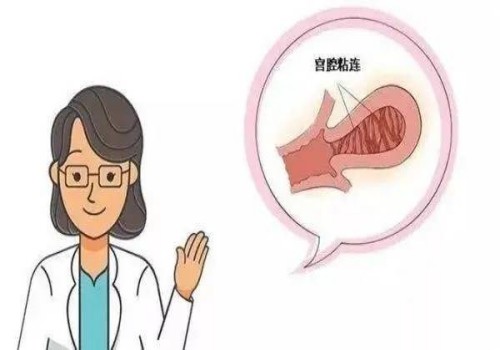北京试管助孕价格：二代试管婴儿孩子智商低？和普通孩子没啥区别