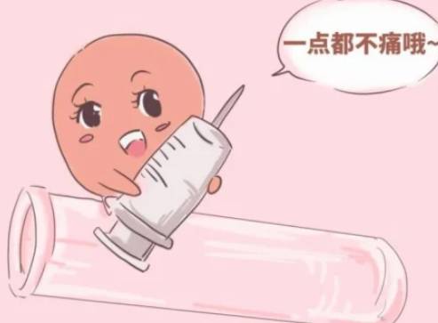 北京供精试管：南宁试管婴儿成功率怎么样,试管让有子之梦变成现实
