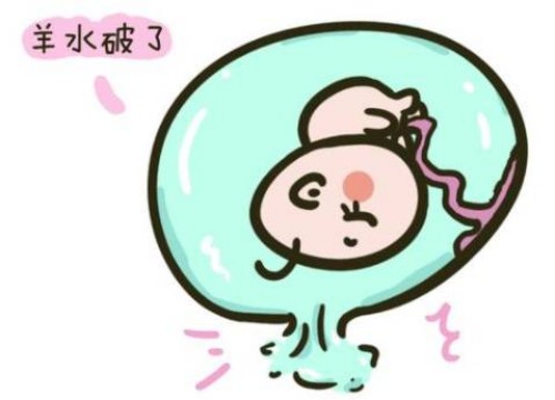 北京试管助孕价格：2023高龄女性试管有希望，提高卵子质量是关键