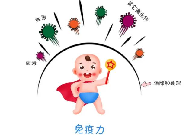 北京助孕生子：做试管查染色体是什么意思,染色体异常只能做三代试管