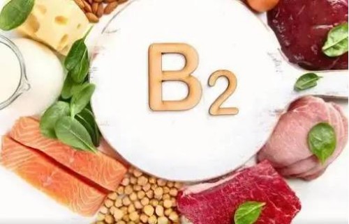 北京三代试管助孕中心：吃这几种食物能促进卵泡发育，让卵泡长得快又圆