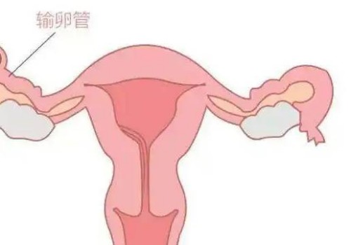 北京助孕试管代怀生子：﻿人工授精只是一项小手术，并不会让女性觉得痛