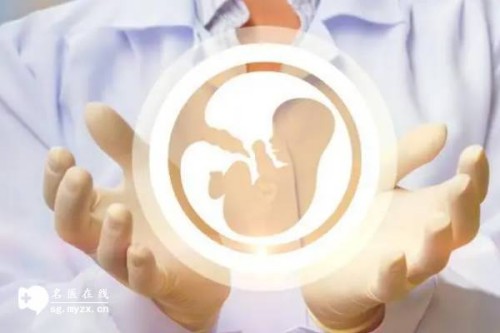 北京助孕公司：pgs筛查会淘汰多少囊胚,结果什么时候出一目了然