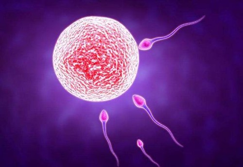 北京试管婴儿价格：孕妇血糖高不用怕，做好运动降血糖