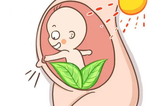 早孕试纸告诉你阴性不要慌，教你胎停家用小办法解读信号！