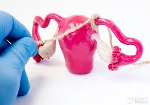 北京正规助孕机构：滋肾育胎丸的作用是什么,滋肾育胎丸保胎率高吗