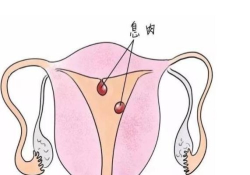 北京正规助孕机构：阳康过的人备孕要当心了，避免影响孩子健康