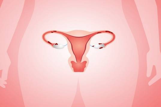 孕妈妈最不愿听到的胚胎停止发育是什么原因导致的？