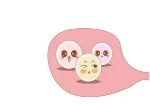 北京试管助孕价格：如何为胖多囊寻找瘦身办法？参考这3种减肥方法告别烦恼