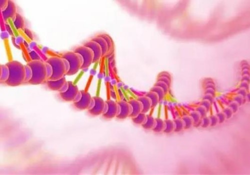 北京试管婴儿价格：月经当天降温又怀孕，是怀孕了吗？