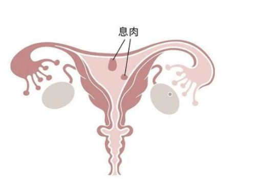 北京助孕中心：详述胚胎评级，811级别属于优质