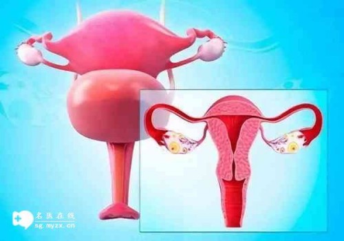 俄罗斯三代试管龙凤胎费用不等，要根据具体的情况综合考虑