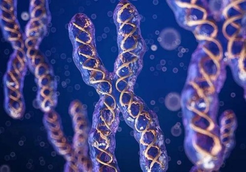 北京助孕中心：孕肚可以随便摸吗？怀孕一直摸自己的肚子会有什么结果