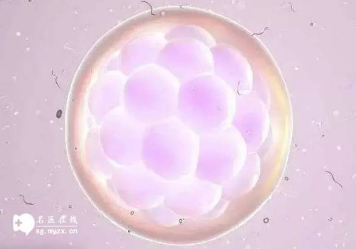 2023潮州中心医院试管婴儿流程指南，助孕成功率预估