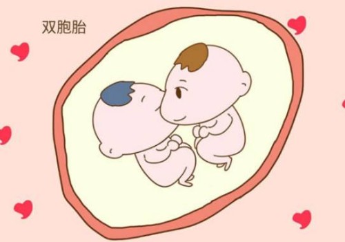 北京供卵试管：囊胚等级划分，谁好谁怀一分钟了解