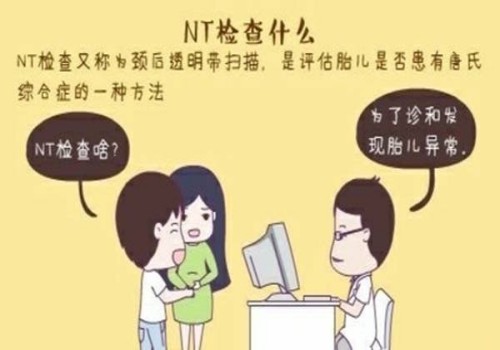 囊胚移植几天着床？做好这些可以提高成功率
